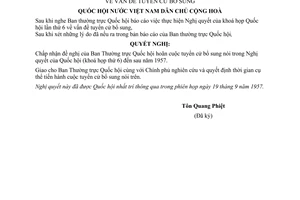 Nghị quyết vấn đề tuyển cử bổ sung