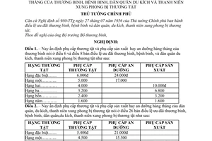 Nghị định 131-TTg phụ cấp thương tật và sản xuất, an dưỡng hàng tháng thương bệnh binh, dân quân du kích và tthanh niên xung phong bị thương tật