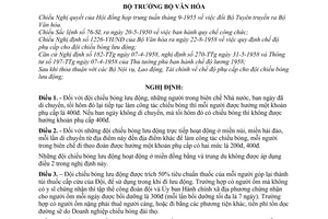 Nghị định 1635-VH/NĐ quy định chế độ phụ cấp cho các đội chiếu bóng lưu động