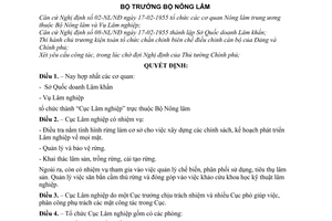 Quyết định 535-QĐ thành lập Cục Lâm nghiệp trực thuộc Bộ Nông lâm