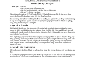 Thông tư 13-LĐTT hướng dẫn tuyển dụng người vào biên chế xí nghiệp công, nông, lâm trường Chính phủ