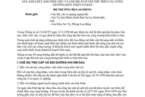 Thông tư 19-LĐ/TT bổ sung hướng dẫn chế độ đãi ngộ ốm đau thai sản khi chết thôi việc chế độ ăn ở tập thể trên công trường kiến thiết cơ bản