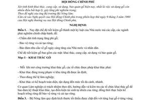 Nghị định 10-CP Quy định chế độ tiết kiệm gỗ