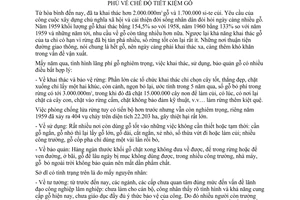 Thông tư 161-TTg chế độ tiết kiệm gỗ hướng dẫn Nghị định 10-CP