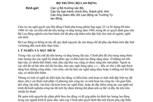 Thông tư 24-LĐ/TT cấp thâm niên đặc biệt nghề