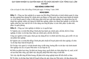 Nghị định 140-CP quy định nhiệm vụ quyền hạn và tổ chức bộ máy của Tổng cục Lâm nghiệp