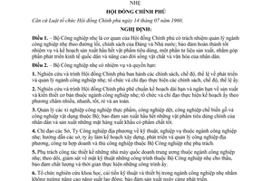 Nghị định 182-CP quy định nhiệm vụ, quyền hạn và tổ chức bộ máy của Bộ Công nghiệp nhẹ