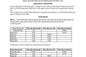 Nghị định 13-CP nâng phụ cấp thương tật cho thương binh và dân quân, du kích, thanh niên xung phong bị thương tật