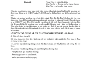 Thông tư 178-BNT quy định chế độ trang bị bảo hộ lao động ngành ngoại thương