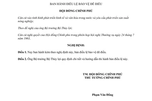 Nghị định 173-CP điều lệ bảo vệ đê điều