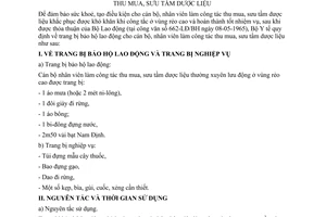 Thông tư 01-BYT/TT trang bị phòng hộ lao động cán bộ, nhân viên làm công tác thu mua, sưu tầm dược liệu