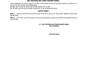 Quyết định 88-GD/QĐ quy chế tạm thời tổ chức các lớp sơ cấp chuyên nghiệp