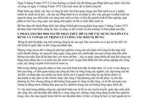 Nghị quyết 155-CP thi hành pháp lệnh quy định việc bảo vệ rừng