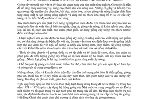 Quyết định 209-CP chủ trương, chính sách công tác giống cây trồng