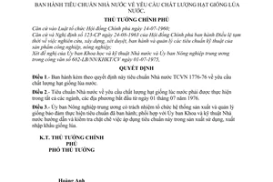 Quyết Định 104-TTg  tiêu chuẩn Nhà nước về yêu cầu chất lượng hạt giống lúa nước