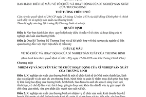 Quyết Định  282-TTg Điều lệ mẫu  tổ chức hoạt động của xí nghiệp sản xuất của thương binh