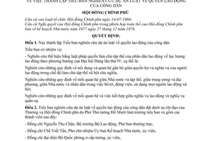 Quyết định 33-CP thành lập Tiểu ban nghiên cứu dự án luật về quyền lao động công dân