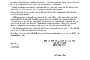 Chỉ thị 13/CT-UB duy trì sản xuất cơ sở tiểu công nghiệp thủ công nghiệp đăng ký kinh doanh