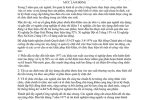 Chỉ thị 20/CT-UB thực hiện Quyết định 133/CP tăng cường công tác chỉ đạo xây dựng quản lý chặt chẽ thực hiện định mức lao động