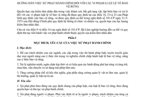 Thông tư 3984-LN/KL hướng dẫn xử phạt hành chính vi phạm luật lệ bảo vệ rừng