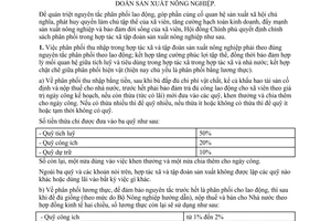 Quyết định 400-CP  chính sách phân phối thu nhập trong hợp tác xã  tập đoàn sản xuất nông nghiệp