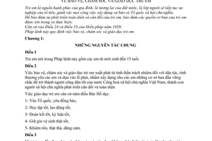 Pháp lệnh bảo vệ, chăm sóc giáo dục trẻ em 1979 160-LCT