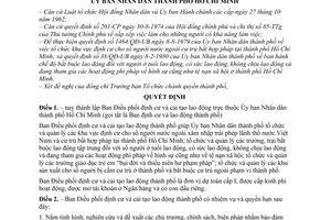 Quyết định 23/QĐ-UB  thành lập Ban Điều phối định cư và cải tạo lao động thành phố