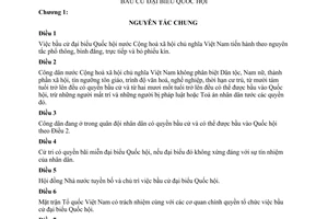 Luật bầu cử Đại biểu Quốc hội 1980 250-LCT