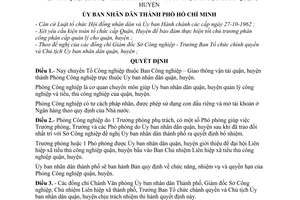 Quyết định 100/QĐ-UB  chuyển Tổ Công nghiệp thuộc Ban Công nghiệp – Giao thông vận tải quận, huyện thành Phòng Công nghiệp và tiểu, thủ công nghiệp