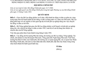 Quyết định 217-CP giao Bộ Lao động nhiệm vụ điều động lao động dân cư cả nước