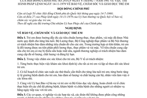 Nghị định 293-CP  bảo vệ, chăm sóc và giáo dục trẻ em thi hành Pháp lệnh ngày 14/11/1979 bảo vệ, chăm sóc và giáo dục trẻ em