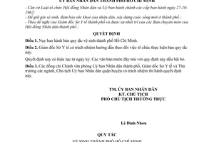 Quyết định 102/QĐ-UB  bản quy tắc vệ sinh thành phố