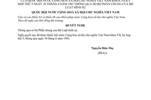 Nghị quyết thông qua sơ bộ phần chung của Bộ luật hình sự