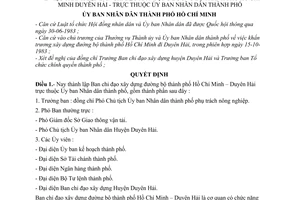 Quyết định 39/QĐ-UB thành lập Ban chỉ đạo xây dựng đường bộ thành phố Hồ Chí Minh – Duyên Hải