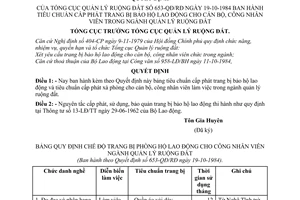 Quyết định 653-QĐ/RĐ tiêu chuẩn cấp phát trang bị bảo hộ lao động cán bộ, công nhân viên ngành quản lý ruộng đất