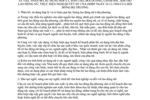 Chỉ thị 03-CT-LĐ thực hiện Nghị quyết 176a-HĐBT phân bổ, sử dụng hợp lý, đào tạo, bồi dưỡng, chăm sóc, bảo hộ lao động nữ