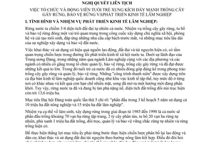Nghị quyết liên tịch 03 tổ chức và động viên tuổi trẻ xung kích đẩy mạnh trồng cây gây rừng, bảo vệ rừng và phát triển kinh tế lâm nghiệp