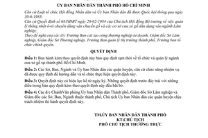 Quyết định 182/QĐ-UB quy định tạm thời tổ chức quản lý ngành cưa xẻ gỗ