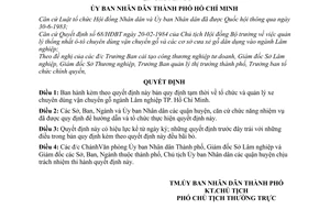 Quyết định 185/QĐ-UB tổ chức quản lý xe chuyên dùng vận chuyển gỗ