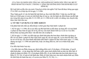 Thông tư liên ngành 04/TTLN hướng dẫn Bộ luật hình sự