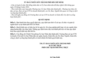 Quyết định 229/QĐ-UB quy định tạm thời cải tạo, tổ chức quản lý dịch vụ