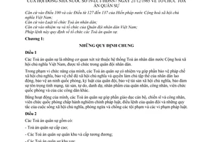 Pháp lệnh tổ chức Toà án quân sự 1985 19-LCT/HĐNN7