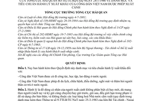 Quyết định 102/TCHQ/CGQ danh mục tiêu chuẩn hành lý xuất khẩu công dân Việt Nam được phép xuất cảnh