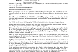 Chỉ thị 06/UB-CT năm 1986 tiêm phòng gia súc hàng năm Bến Tre