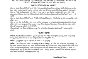 Quyết định 801-QĐ quy phạm phòng cháy, chữa cháy rừng thông,  tràm, dễ cháy khác