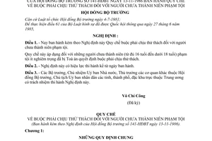 Nghị định 141-HĐBT quy chế về buộc phải chịu thử thách đối với người chưa thành niên phạm tội