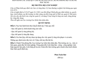 Quyết định 1171-QĐ quy chế rừng sản xuất, rừng phòng hộ và rừng đặc dụng