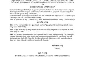 Quyết định  22-QĐ/KT  quy phạm kỹ thuật gây, trồng và kinh doanh rừng tràm (Mêlaleuca Leucadendron L) (QPN 9-86)