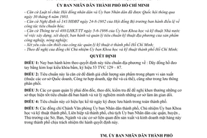 Quyết định 224/QĐ-UB  tiêu chuẩn địa phương Dây đồng hồ đeo tay bằng kim loại kiểu khóa bấm, ký hiệu 53 TVC 129 – 87