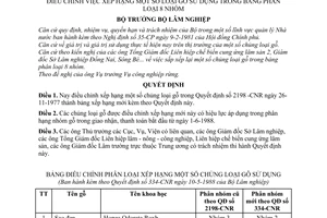 Quyết định 334-CNR  điều chỉnh việc xếp hạng một số loại gỗ sử dụng trong bảng phân loại 8 nhóm